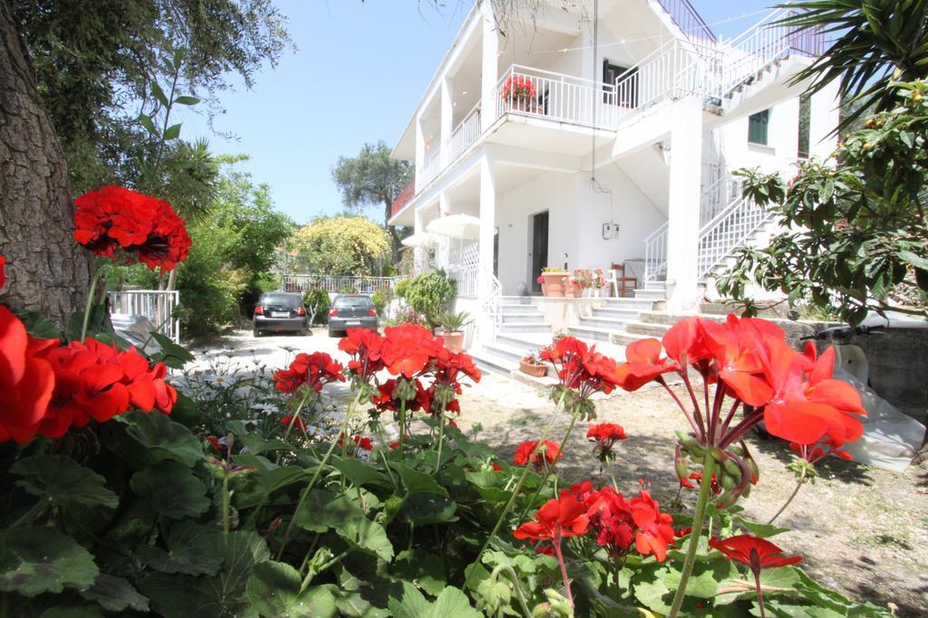 Apartment Angeliki &